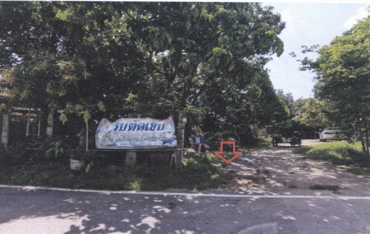 ขายทอดตลาด ที่ดินว่างเปล่า จ.หนองคาย