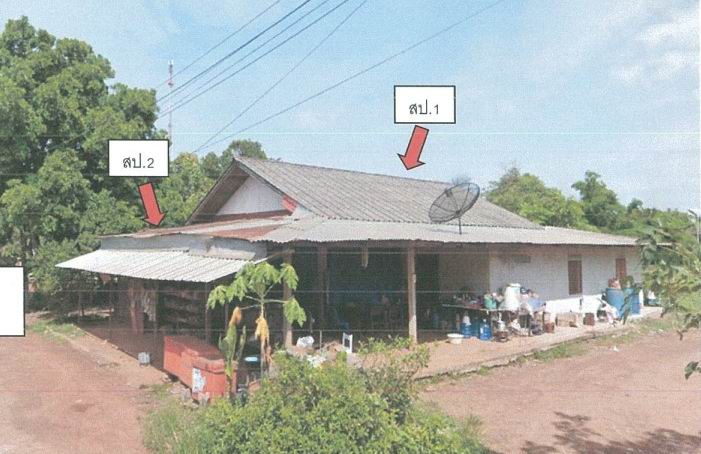 ขายทอดตลาด ที่ดินพร้อมสิ่งปลูกสร้าง ต.เหล่าต่างคำ อ.โพนพิสัย จ.หนองคาย