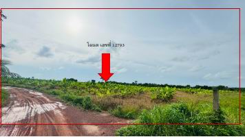 ขายทอดตลาด ที่ดินว่างเปล่า จ.หนองคาย