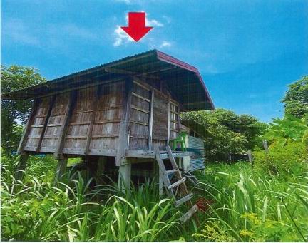 ขายทอดตลาด ที่ดินพร้อมสิ่งปลูกสร้าง ต.สงเปลือย อ.นามน จ.กาฬสินธุ์