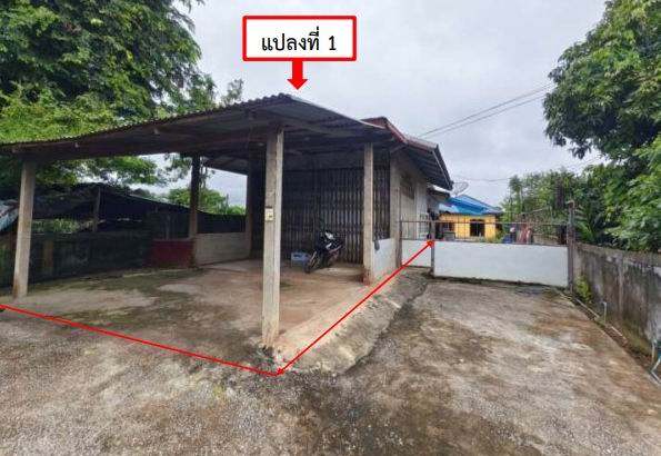 ขายทอดตลาด ที่ดินพร้อมสิ่งปลูกสร้าง ต.โคกคอน อ.ท่าบ่อ จ.หนองคาย