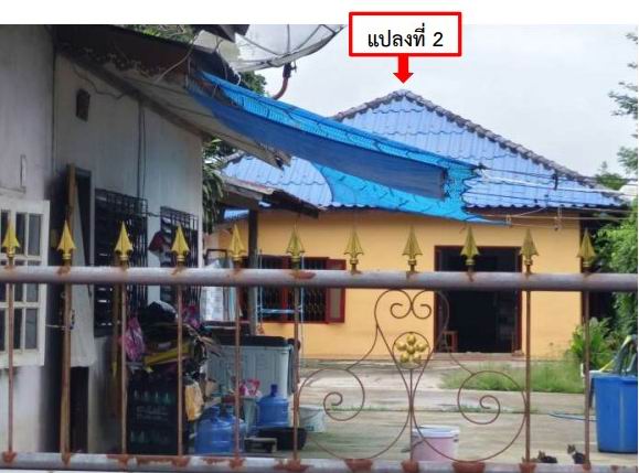 ขายทอดตลาด ที่ดินพร้อมสิ่งปลูกสร้าง ต.โคกคอน อ.ท่าบ่อ จ.หนองคาย
