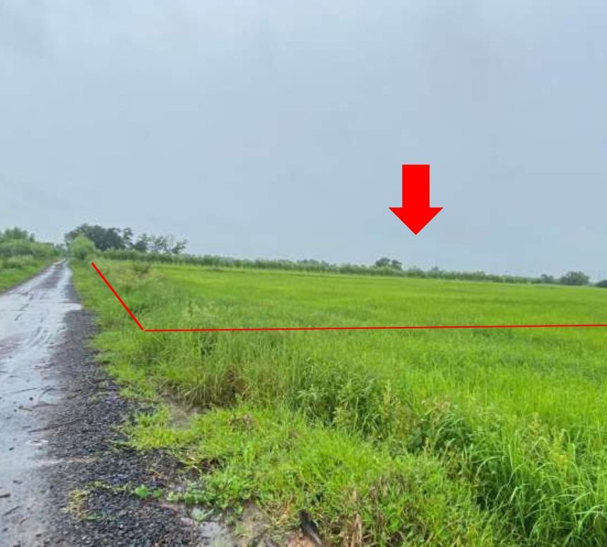 ขายทอดตลาด ที่ดินว่างเปล่า จ.สุรินทร์