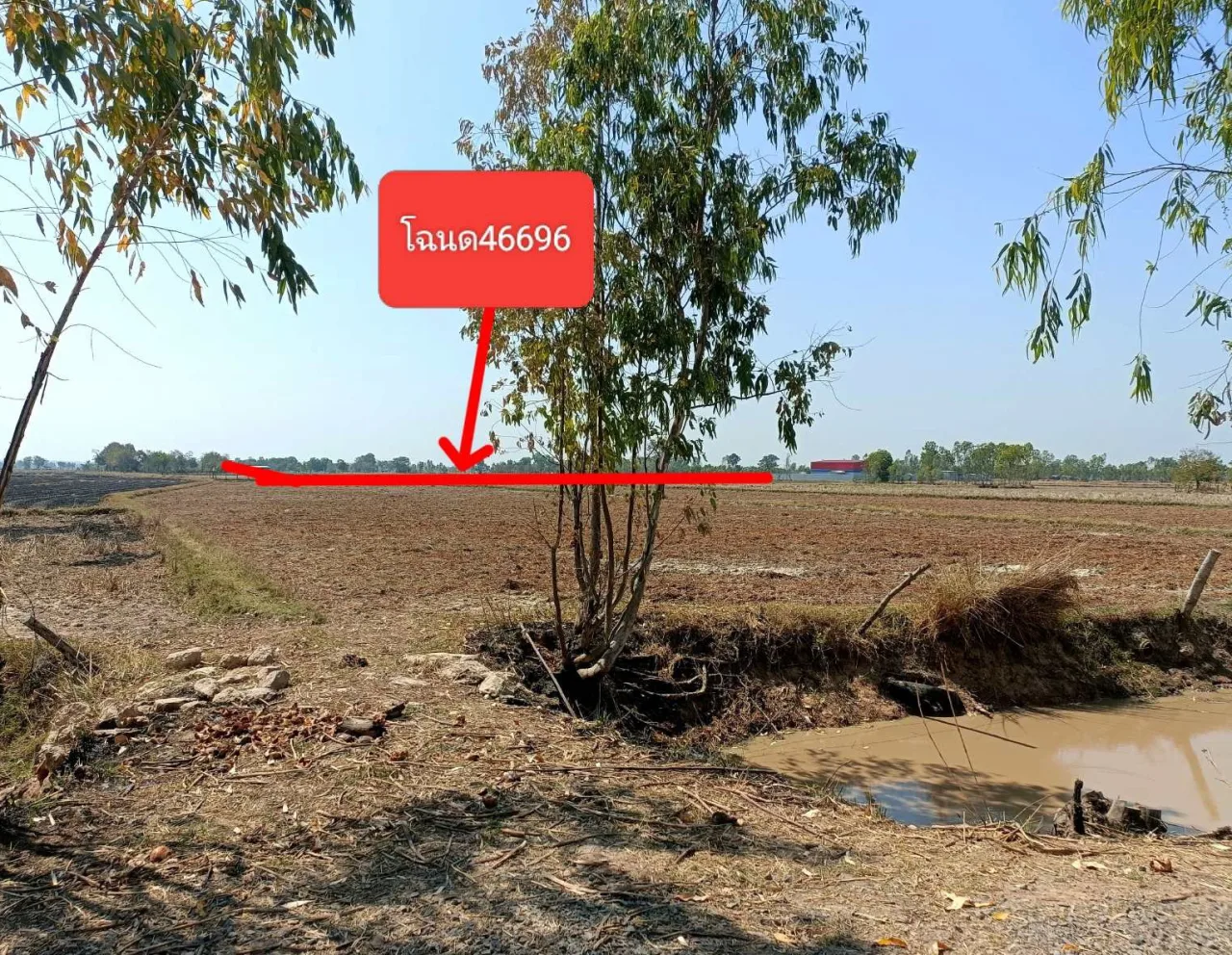 ขายทอดตลาด ที่ดินว่างเปล่า จ.สุรินทร์
