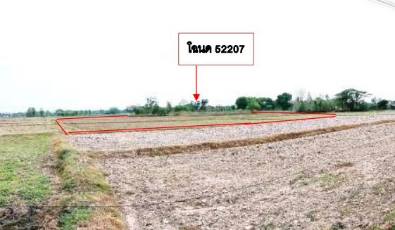 ขายทอดตลาด ที่ดินว่างเปล่า จ.หนองคาย