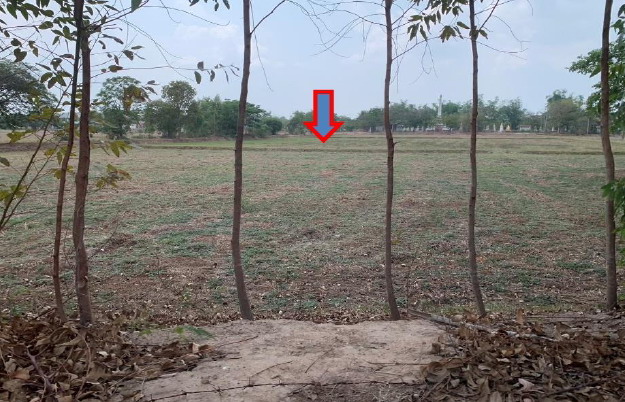 ขายทอดตลาด ที่ดินว่างเปล่า จ.สุรินทร์