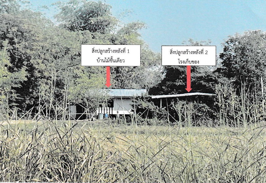 ขายทอดตลาด ที่ดินพร้อมสิ่งปลูกสร้าง ต.แม่ลาด อ.คลองขลุง จ.กำแพงเพชร