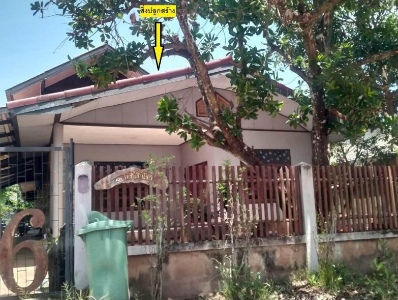 ขายทอดตลาด ที่ดินพร้อมสิ่งปลูกสร้าง ต.ชุมช้าง อ.โพนพิสัย จ.หนองคาย