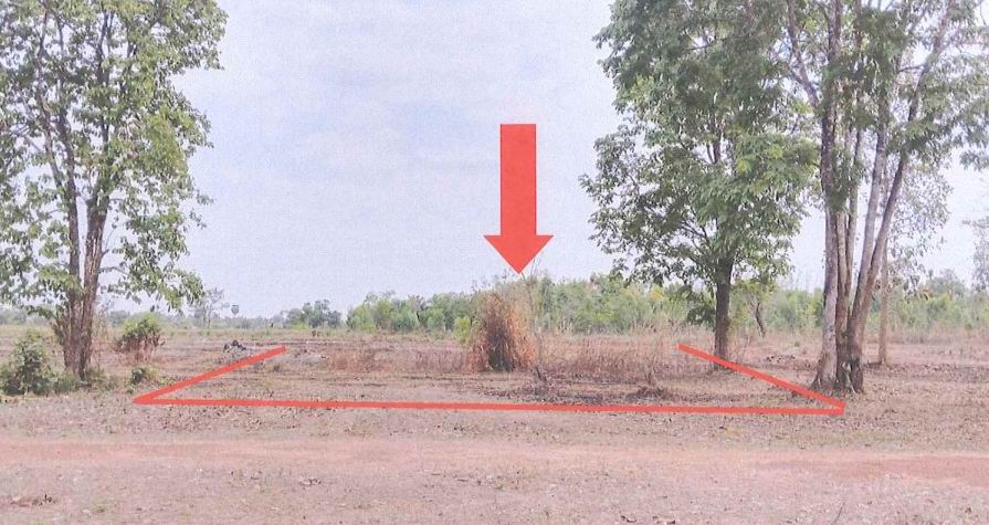 ขายทอดตลาด ที่ดินว่างเปล่า จ.หนองคาย