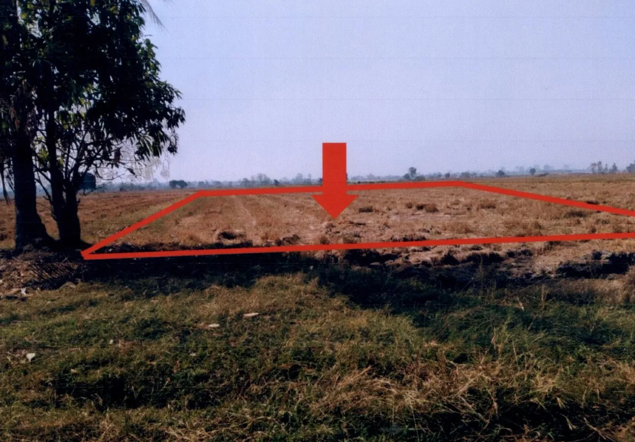 ขายทอดตลาด ที่ดินว่างเปล่า จ.กำแพงเพชร