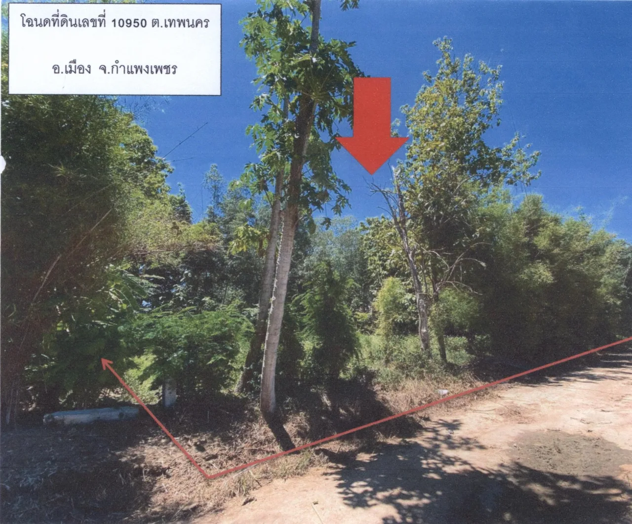 ขายทอดตลาด ที่ดินว่างเปล่า จ.กำแพงเพชร