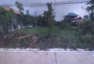 รูปทรัพย์ 2