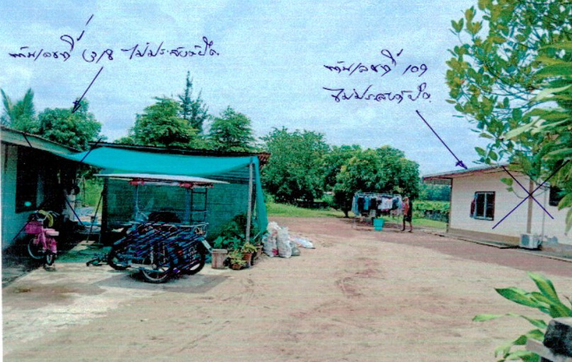 ขายทอดตลาด ที่ดินว่างเปล่า จ.หนองคาย