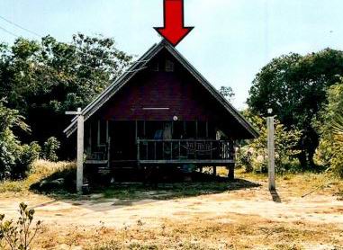 ขายทอดตลาด ที่ดินพร้อมสิ่งปลูกสร้าง ต.สนม อ.สนม จ.สุรินทร์