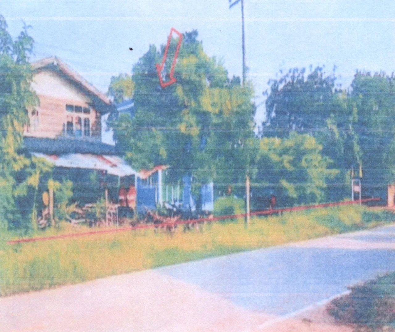ขายทอดตลาด ที่ดินพร้อมสิ่งปลูกสร้าง ต.ชีลอง อ.เมืองชัยภูมิ จ.ชัยภูมิ
