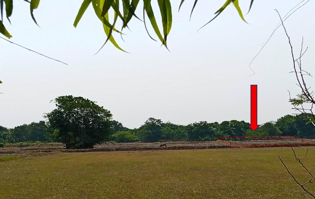 ขายทอดตลาด ที่ดินว่างเปล่า จ.สุรินทร์