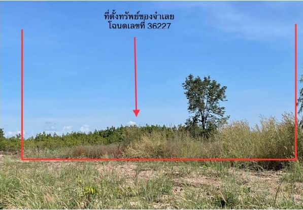 ขายทอดตลาด ที่ดินว่างเปล่า จ.หนองคาย