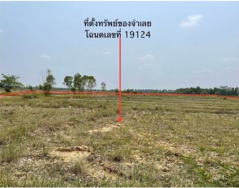 ขายทอดตลาด ที่ดินว่างเปล่า จ.หนองคาย