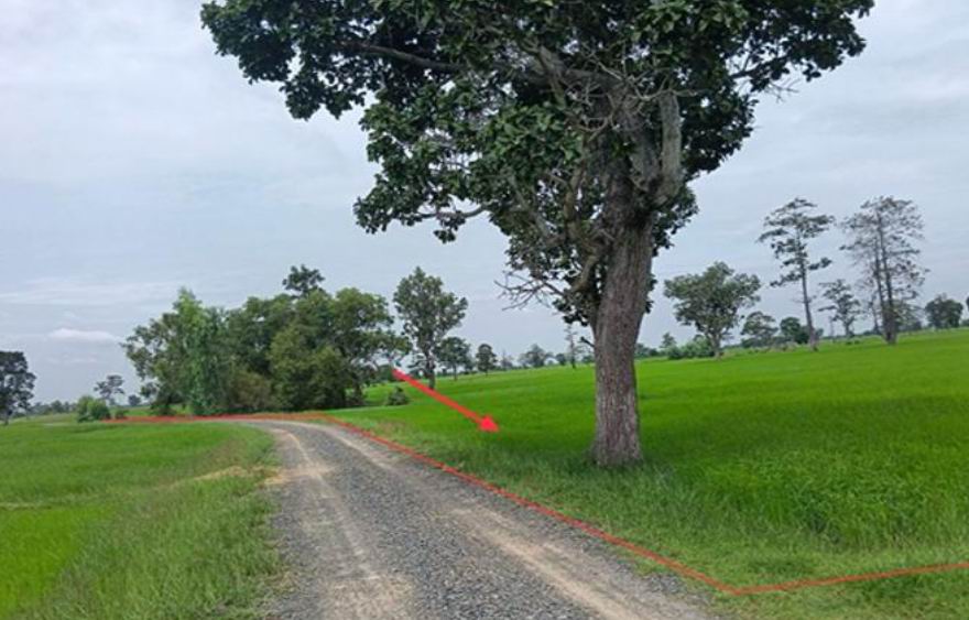 ขายทอดตลาด ที่ดินว่างเปล่า จ.สุรินทร์