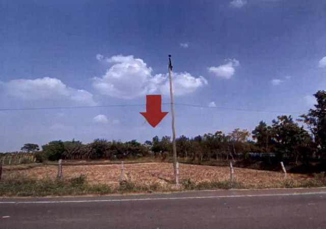 ขายทอดตลาด ที่ดินพร้อมสิ่งปลูกสร้าง จ.สุรินทร์