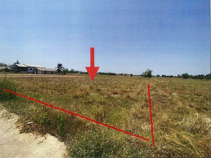 ขายทอดตลาด ที่ดินว่างเปล่า จ.กำแพงเพชร