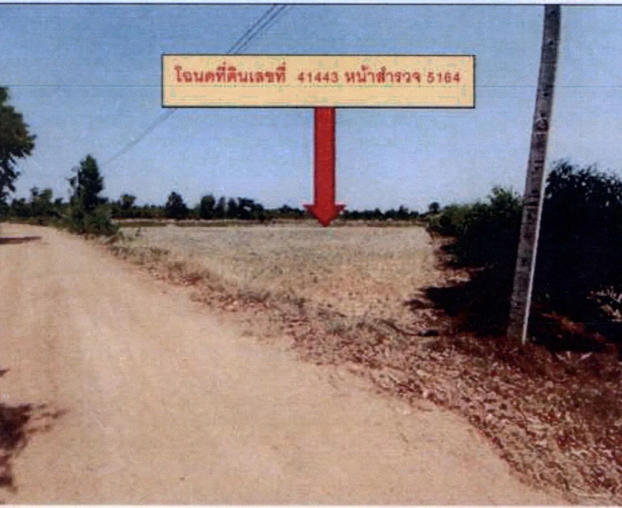 ขายทอดตลาด ที่ดินว่างเปล่า จ.สุรินทร์