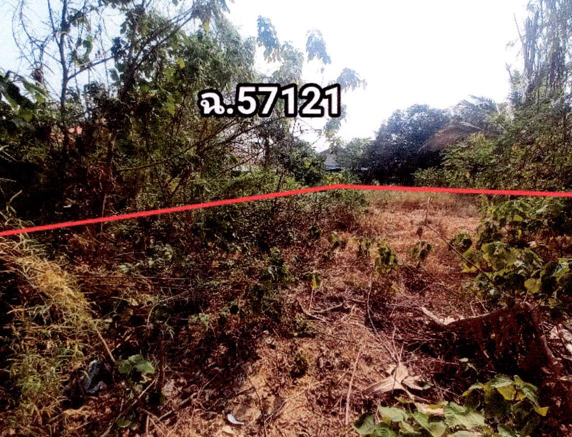 ขายทอดตลาด ที่ดินว่างเปล่า ต.วังศาลา อ.ท่าม่วง จ.กาญจนบุรี