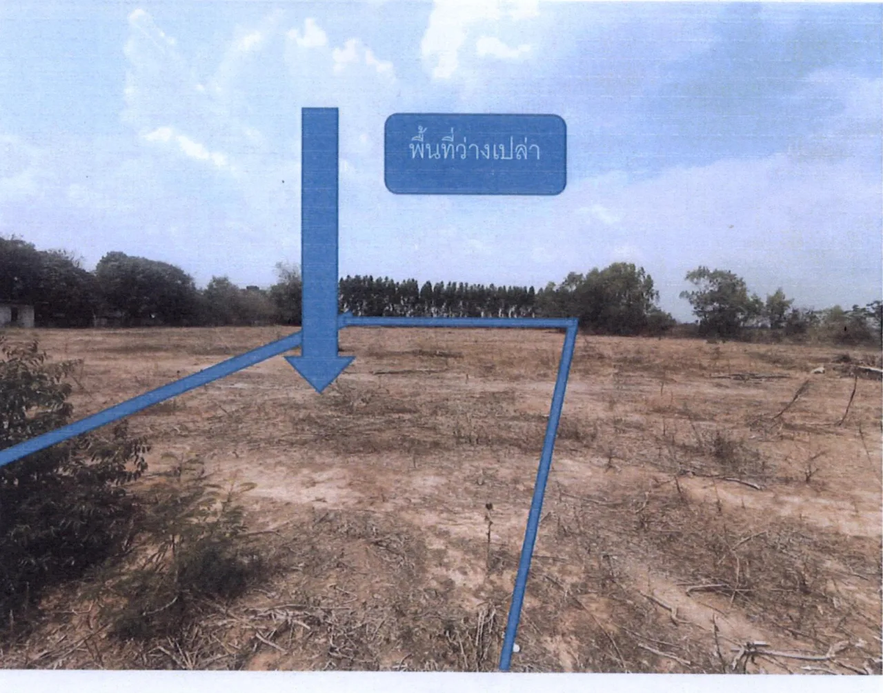 ขายทอดตลาด ที่ดินว่างเปล่า จ.สุรินทร์