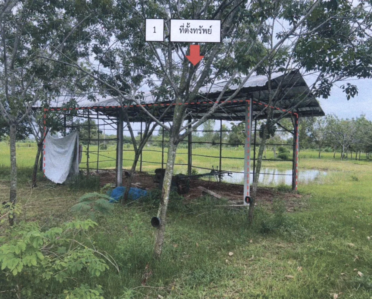 ขายทอดตลาด ที่ดินพร้อมสิ่งปลูกสร้าง ต.สำโรงทาบ อ.สำโรงทาบ จ.สุรินทร์