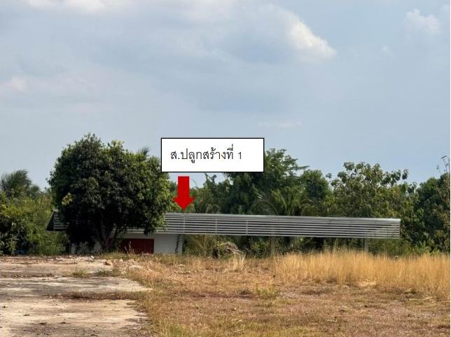 ขายทอดตลาด ที่ดินพร้อมสิ่งปลูกสร้าง ต.ท่าขุนราม อ.เมืองกำแพงเพชร จ.กำแพงเพชร