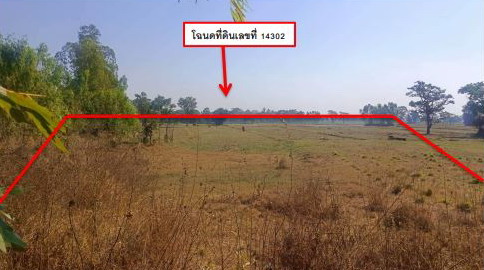 ขายทอดตลาด ที่ดินว่างเปล่า ต.ยะวึก อ.ชุมพลบุรี จ.สุรินทร์