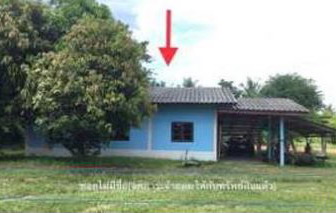 ขายทอดตลาด ที่ดินพร้อมสิ่งปลูกสร้าง ต.บะ อ.ท่าตูม จ.สุรินทร์