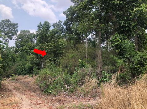 ขายทอดตลาด ที่ดินว่างเปล่า จ.สุรินทร์