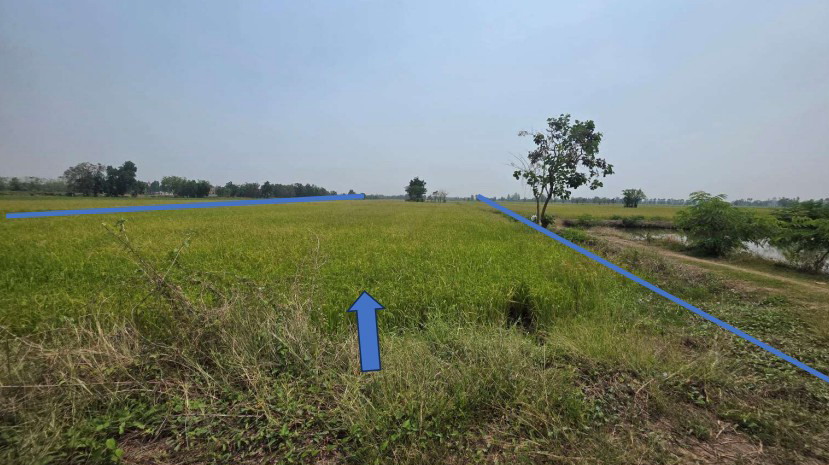 ขายทอดตลาด ที่ดินว่างเปล่า จ.กำแพงเพชร