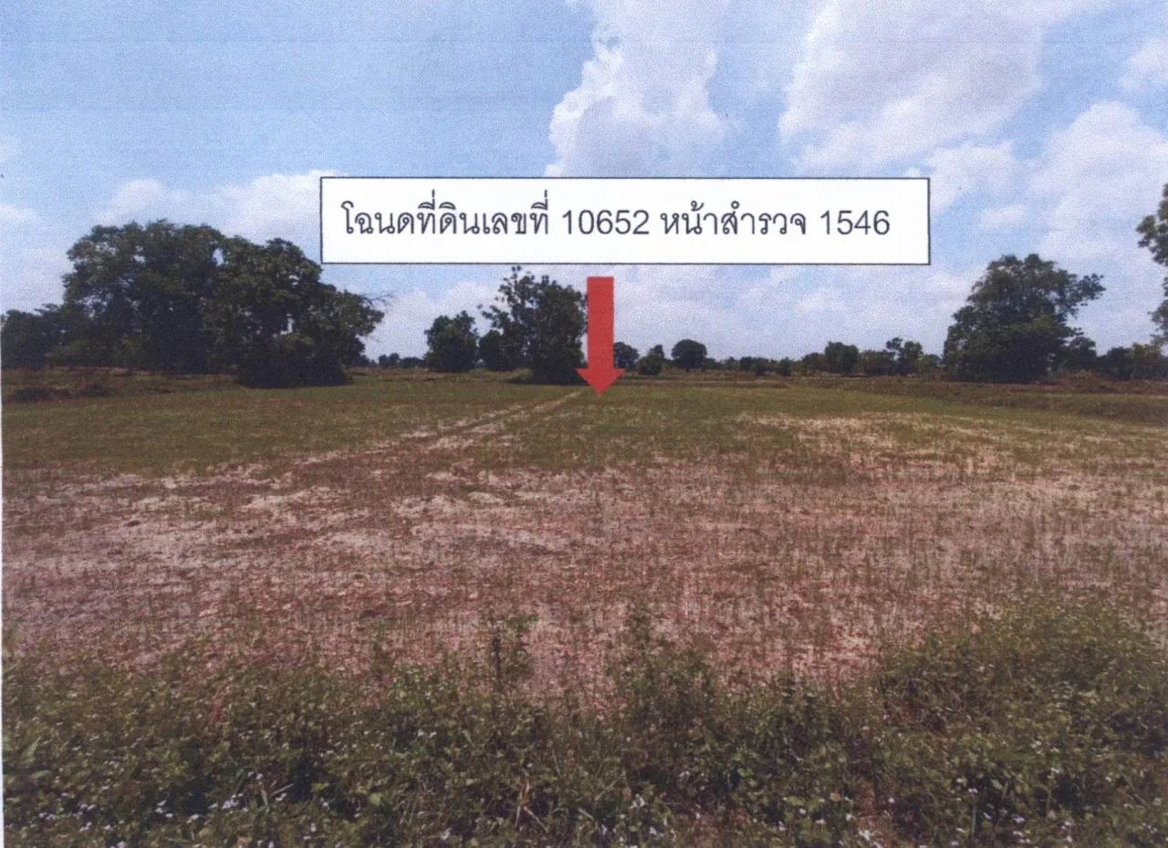 ขายทอดตลาด ที่ดินว่างเปล่า จ.สุรินทร์