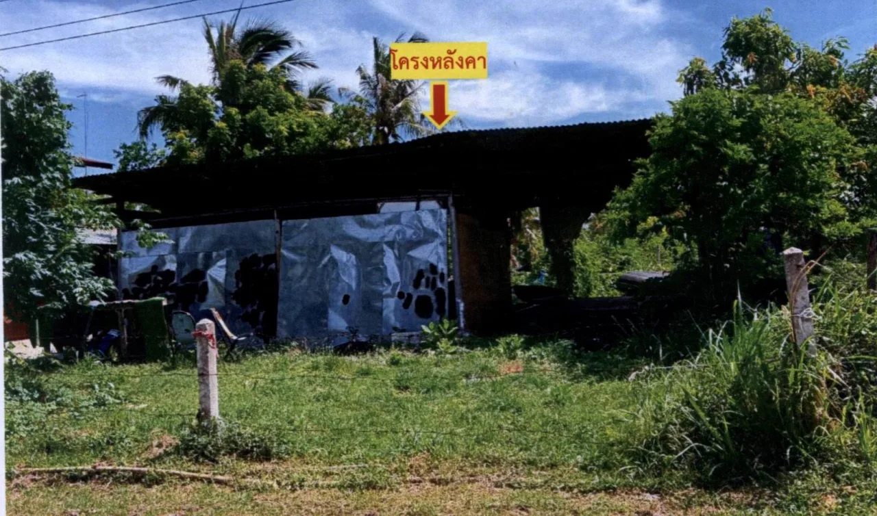 ขายทอดตลาด ที่ดินพร้อมสิ่งปลูกสร้าง ต.หนองอียอ อ.สนม จ.สุรินทร์