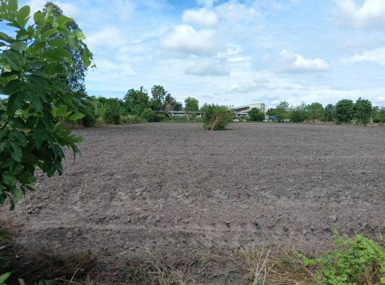 ขายทอดตลาด ที่ดินว่างเปล่า จ.กำแพงเพชร