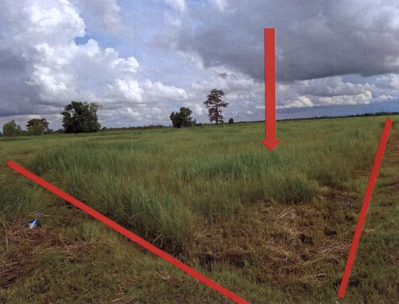ขายทอดตลาด ที่ดินว่างเปล่า ต.หนองไผ่ล้อม อ.สำโรงทาบ จ.สุรินทร์