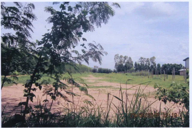 ขายทอดตลาด ที่ดินพร้อมสิ่งปลูกสร้าง ต.ไผ่ อ.รัตนบุรี จ.สุรินทร์