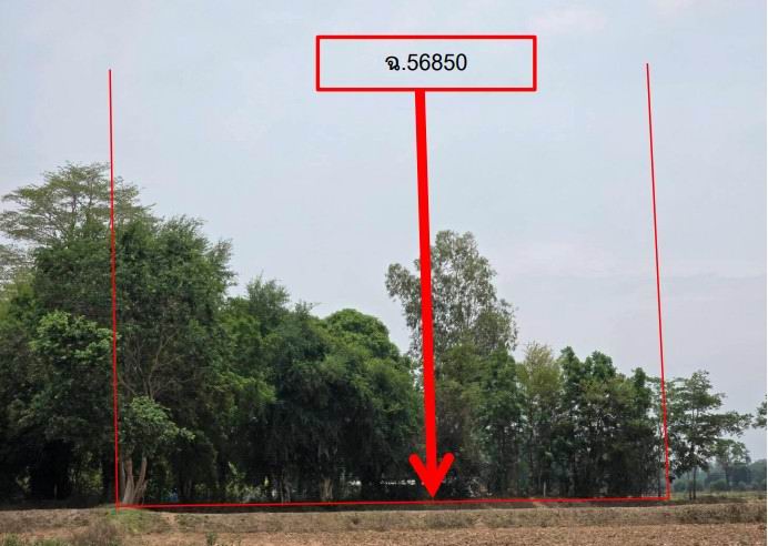 ขายทอดตลาด ที่ดินว่างเปล่า จ.สุรินทร์
