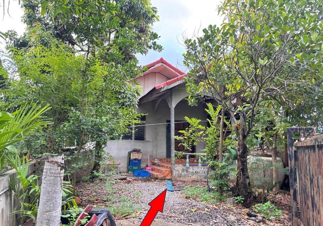 ขายทอดตลาด ที่ดินพร้อมสิ่งปลูกสร้าง ต.กุดเค้า อ.มัญจาคีรี จ.ขอนแก่น
