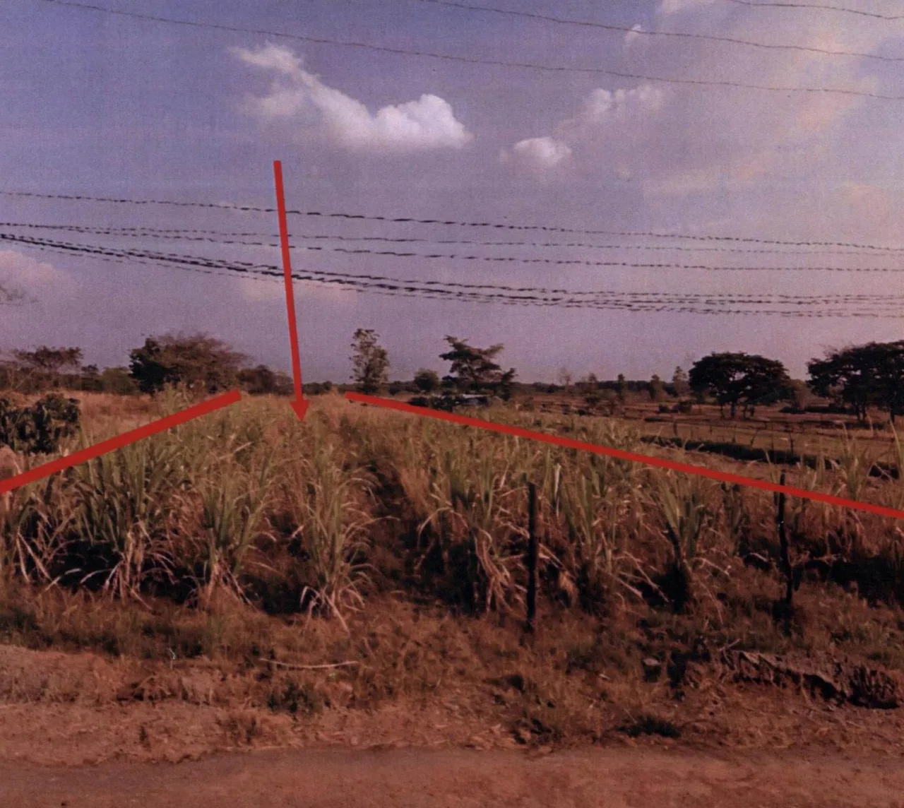 ขายทอดตลาด ที่ดินว่างเปล่า ต.กระโพ อ.ท่าตูม จ.สุรินทร์