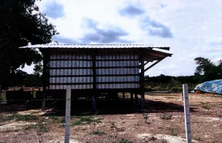 รูปทรัพย์ 1