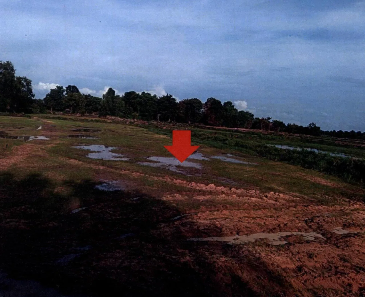 ขายทอดตลาด ที่ดินว่างเปล่า ต.บัวโคก อ.ท่าตูม จ.สุรินทร์