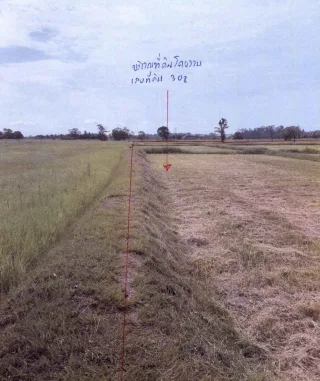 รูปทรัพย์ 2