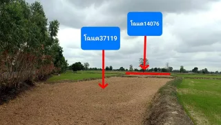 รูปทรัพย์ 1
