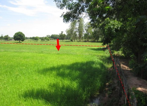 ขายทอดตลาด ที่ดินว่างเปล่า ต.หนองบัวบาน อ.รัตนบุรี จ.สุรินทร์