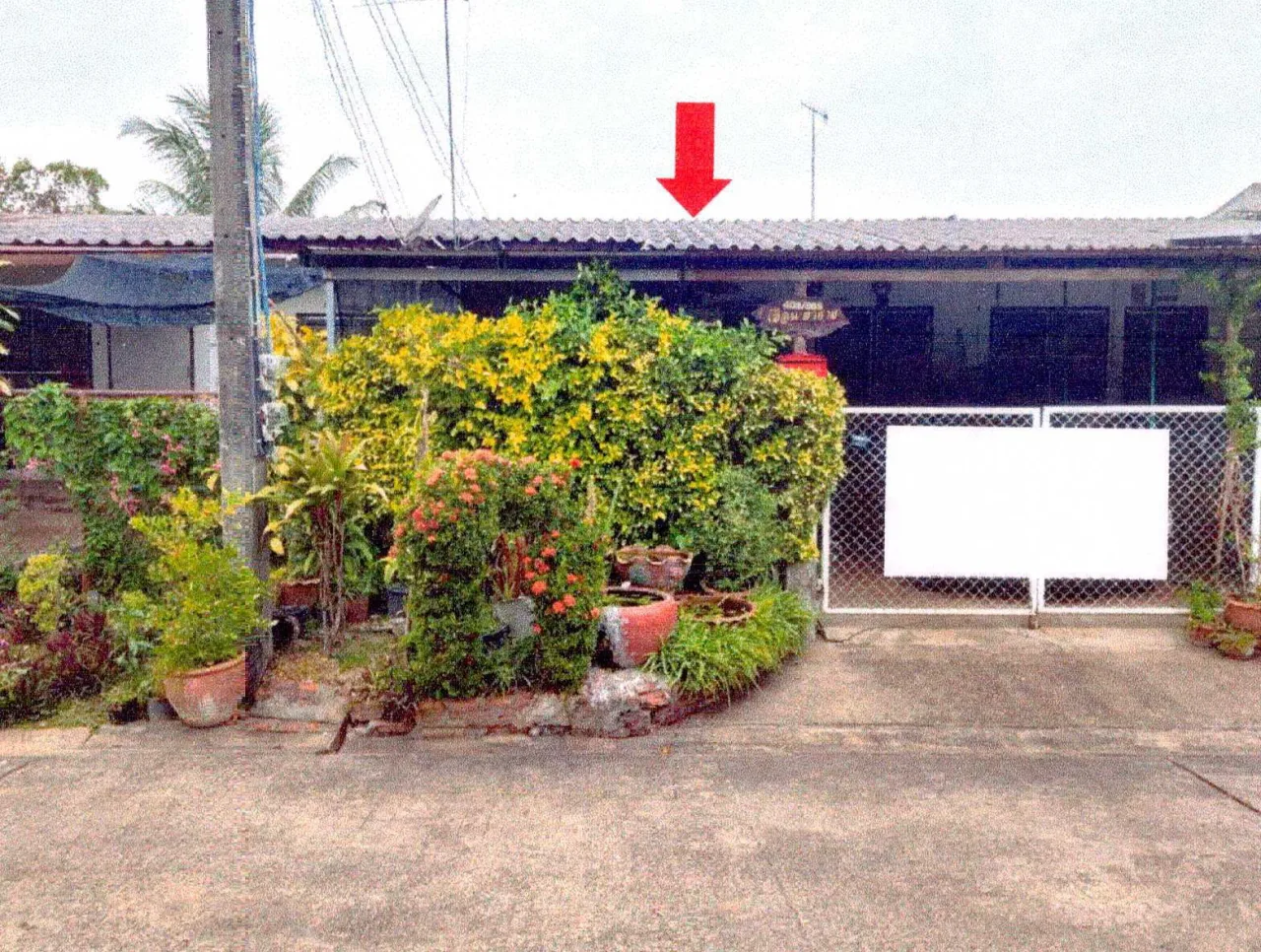 ขายทอดตลาด ที่ดินพร้อมสิ่งปลูกสร้าง ต.หาดคำ อ.เมืองหนองคาย จ.หนองคาย