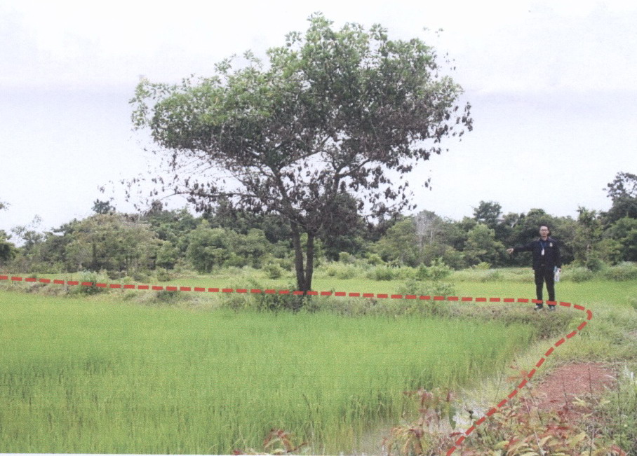 ขายทอดตลาด ที่ดินว่างเปล่า ต.โพธิ์ชัย อ.เมืองหนองคาย จ.หนองคาย