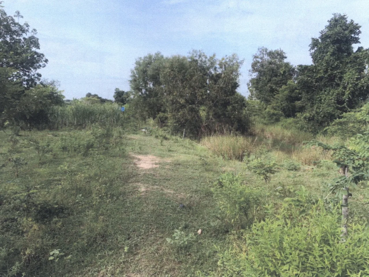 ขายทอดตลาด ที่ดินว่างเปล่า ต.โพนโก อ.สนม จ.สุรินทร์